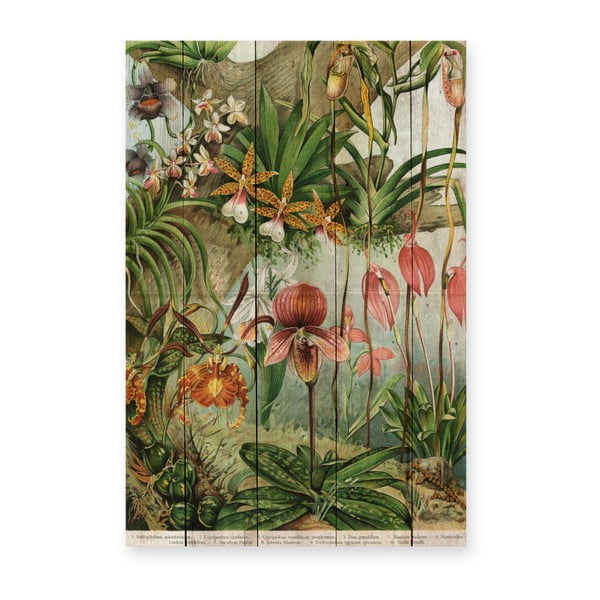 Decorazione da parete in legno di pino, 60 x 40 cm Jungle Flowers - Madre Selva