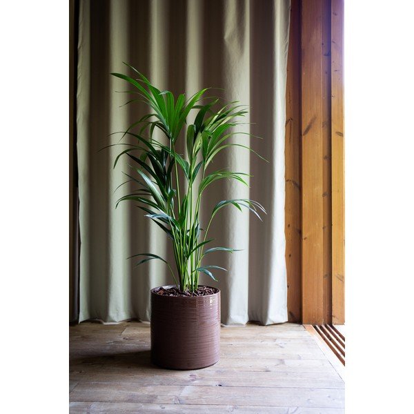 Coprivaso in ceramica ø 18 cm Fortuna – Artevasi-image-3