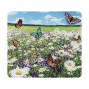 Coprivetro temperato per fornelli 50x56 cm - Maximex