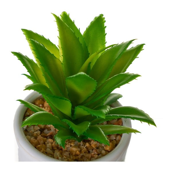 Piante artificiali in set da 4 Cactus - Casa Selección-image-3