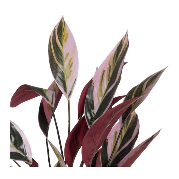 Pianta artificiale (altezza 55 cm) Bird of Paradise - Ixia-image-1