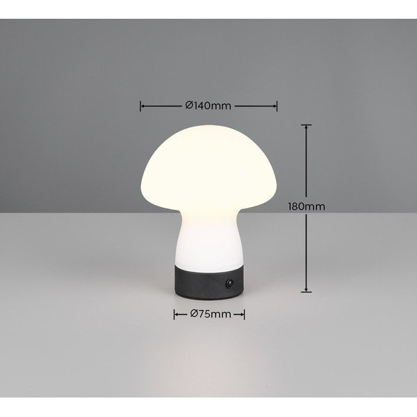Lampada da tavolo LED bianco opaco con paralume in vetro (altezza totale 18 cm) Dooley – Reality-image-4