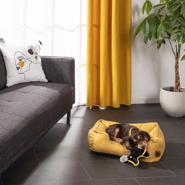 Letto giallo per cani 50x55 cm - Love Story-image-2