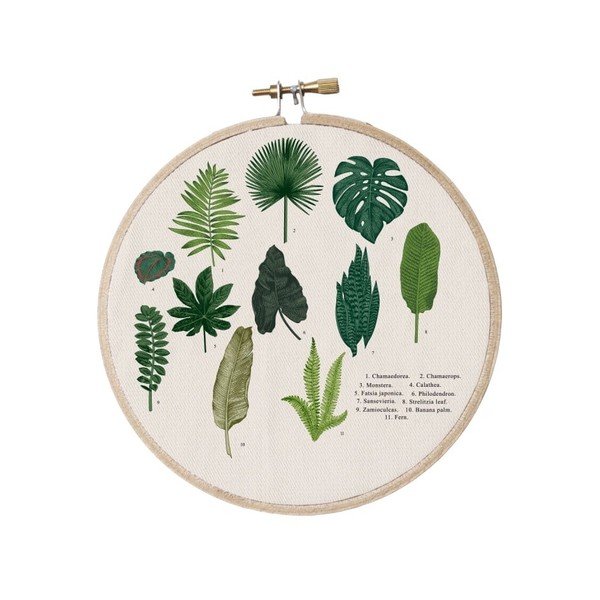 Decorazione murale Punto cerchio Foglie Indice, ⌀ 27 cm Leaves Index - Surdic