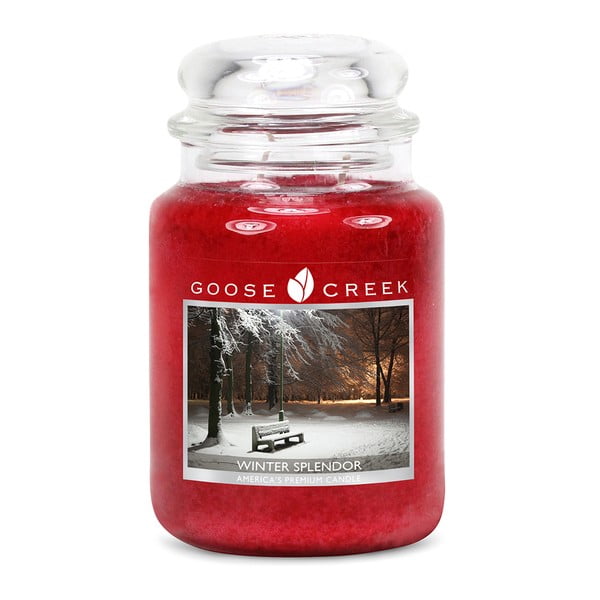 Candela profumata in confezione di vetro Bellezza dell'inverno, 150 ore di combustione - Goose Creek