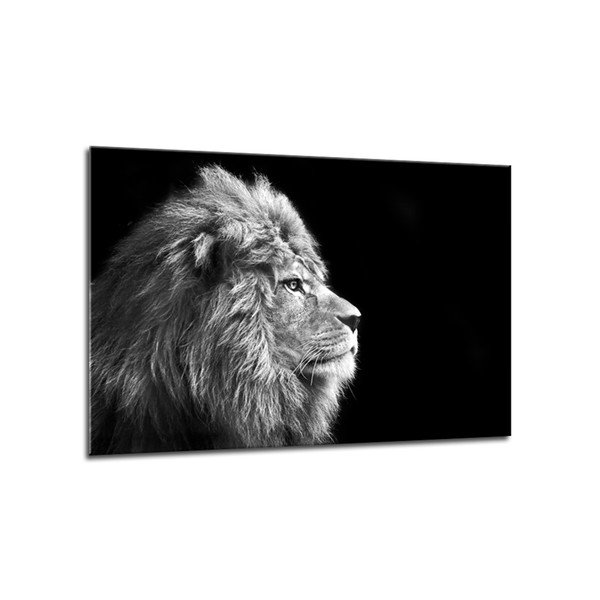 Tela Glasspik Animali Leone, 70 x 100 cm - Styler