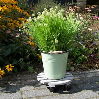 Supporto rotante per vaso in legno ø 29 cm (altezza totale 8 cm) Indoor & Outdoor – Esschert Design