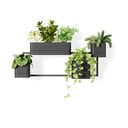 Vasi di plastica sospesi per erbe aromatiche in set di 4 pezzi Cubiko - Umbra