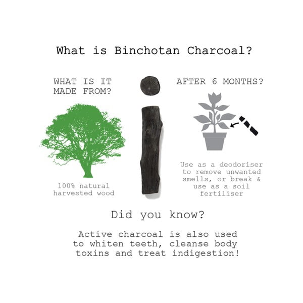 Bastone di Binchotan, 1 pz Eau Good - Black + Blum-image-1
