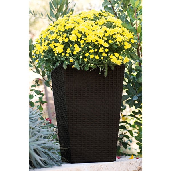 Coprivaso in plastica Rattan – Keter-image-1