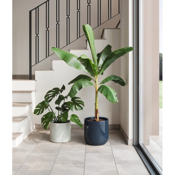 Coprivaso in ceramica ø 18 cm Fortuna – Artevasi-image-4