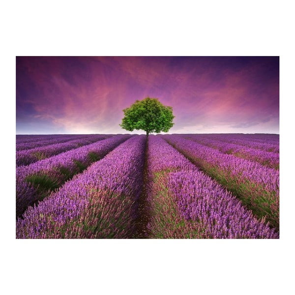 Tovaglietta in vinile Lavender Field, 52 x 75 cm - Zerbelli