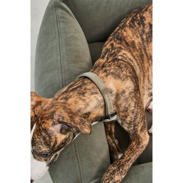 Cuccia color salvia per cane 120x93 cm Comodo Sage L – MiaCara-image-4