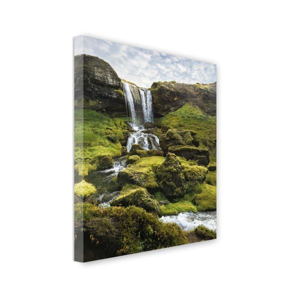 Immagine Tela Viste Foss, 85 x 113 cm - Styler