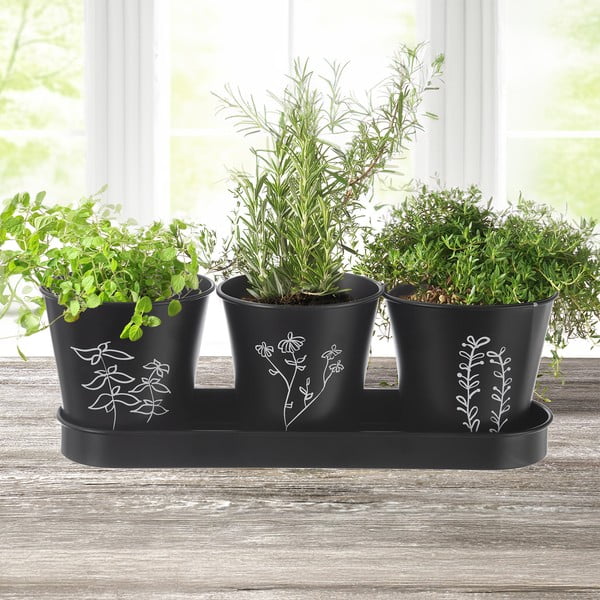 Set di vasi in metallo per erbe aromatiche 3 pz ø 11 cm Black - Orion-image-1