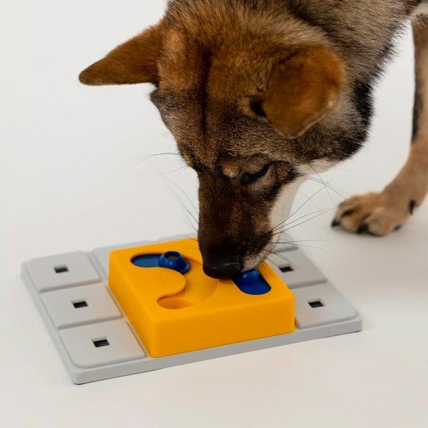 Puzzle per cani Kaya - Pawzler-image-2