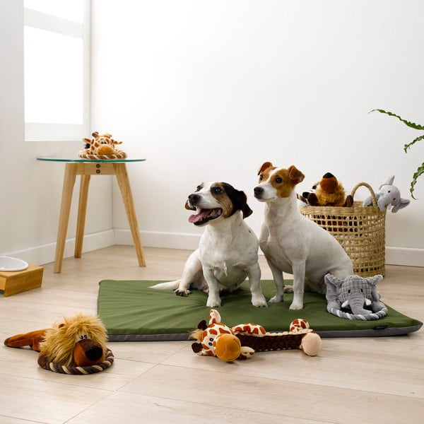 Giocattolo per cane - Love Story-image-1