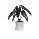 Vaso in ceramica ø 14 cm Diana - Artevasi