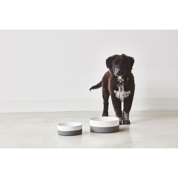 Ciotola in porcellana per cani ø 21,5 cm Coppa Slate M/L - MiaCara-image-1