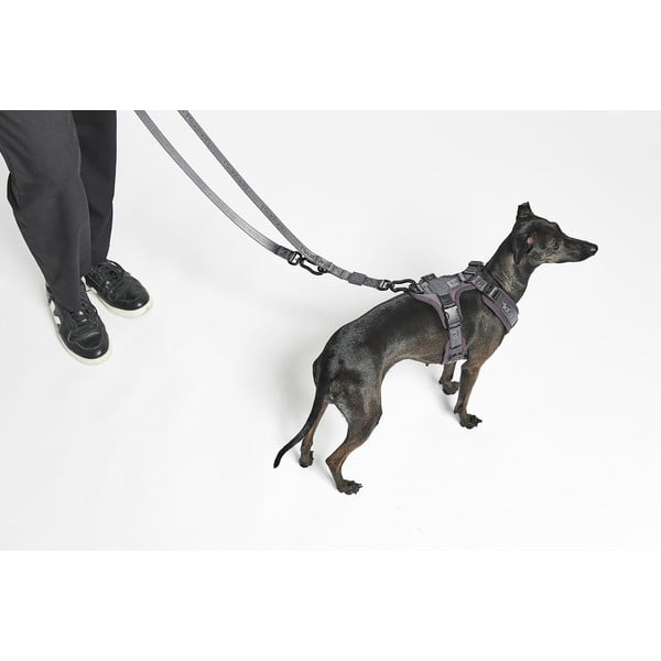 Guinzaglio beige lunghezza 200 cm Modena Greige 20 mm - MiaCara-image-1