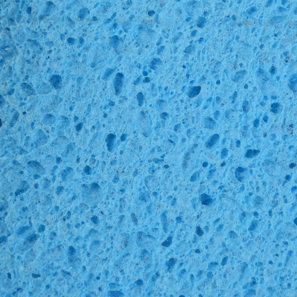 Spugne per piatti in set da 16 - Homéa-image-4