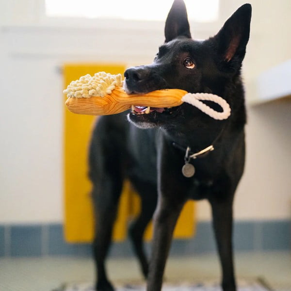 Giocattolo per cane Spazzola – P.L.A.Y.-image-1