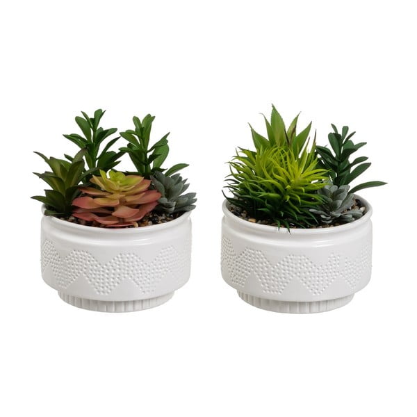 Piante artificiali in set da 2 (altezza 19 cm) Cactus - Casa Selección