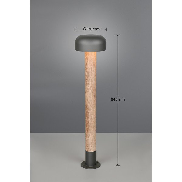 Illuminazione esterna a colonna ø 19 cm Fraser – Trio-image-3