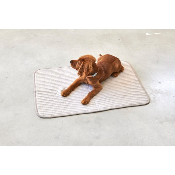 Coperta di cotone beige per cani 75x100 cm Onda Greige M - MiaCara-image-2