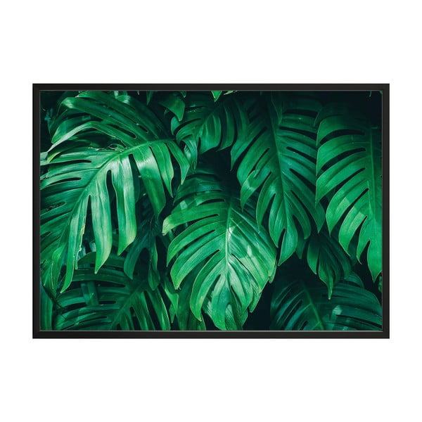 Poster da parete in cornice MONSTERA, 70 x 100 cm Monstera - DecoKing