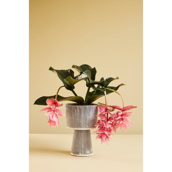 Coprivaso in ceramica in set da 2 pezzi ø 15 cm Pot - Hübsch-image-4