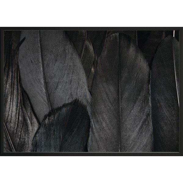 Poster nero, 50 x 40 cm Feathers - DecoKing