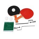 Ping pong Wild Bear – Rex London