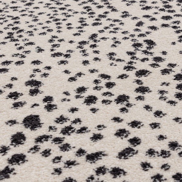 Tappeto bianco e nero 160x230 cm Muse - Asiatic Carpets-image-2