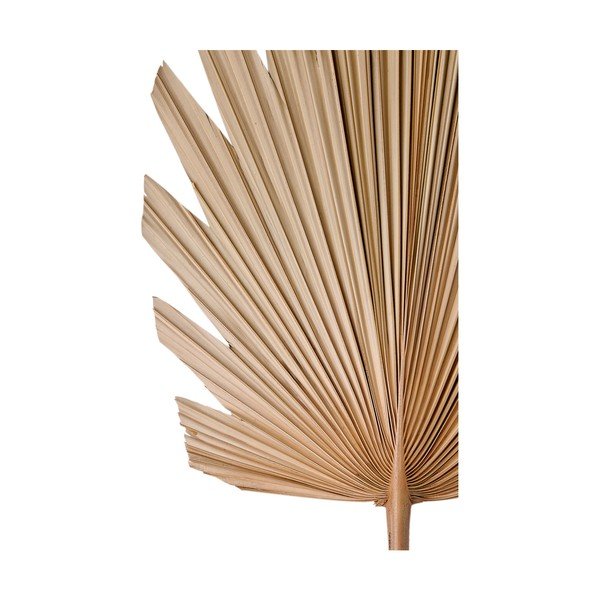 Fiore artificiale Plantae - Light & Living-image-1