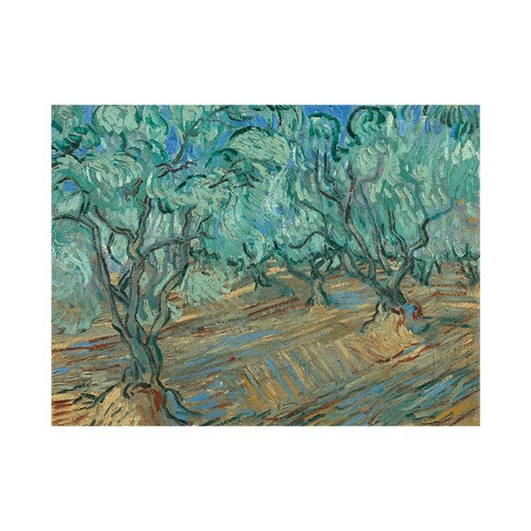 Obraz Vincenta van Gogha - Olive Grove, 50x30 cm