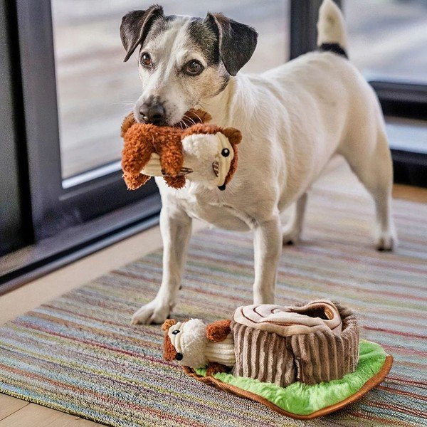 Giocattolo per il cane Chipmunks - P.L.A.Y.-image-1