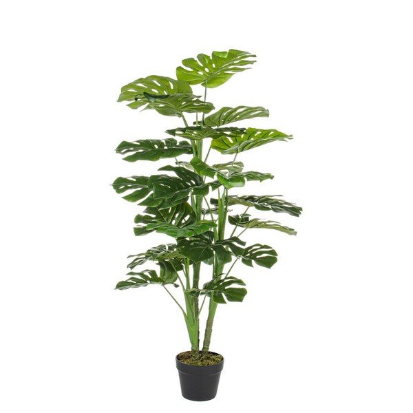 Monstera finta (altezza totale 120 cm) Philodendron – Bizzotto
