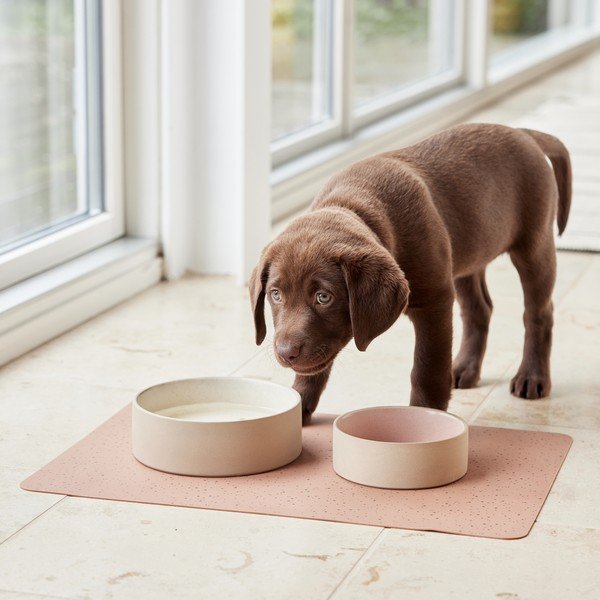 Ciotola in ceramica per cane ø 13 cm Sia – OYOY Living Design-image-1