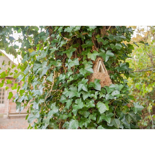 Casetta per uccelli in legno Camouflage - Esschert Design-image-1