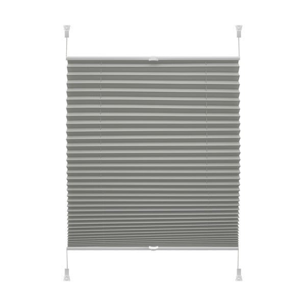 Tenda a pacchetto color antracite 57x150 cm Plisé Verona Termo – Gardinia