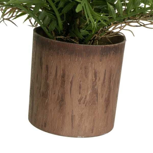 Piante artificiali in set da 2 (altezza 22 cm) - Casa Selección-image-3