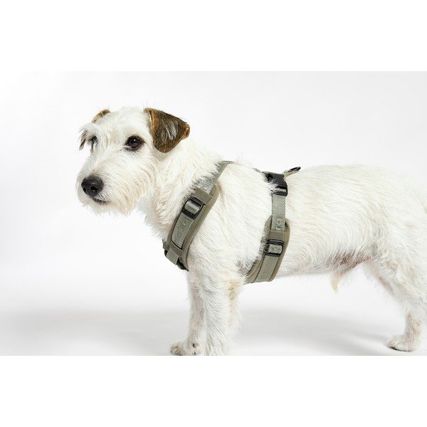 Pettorina verde taglia L lunghezza 42 cm Modena Grolive L - MiaCara-image-3