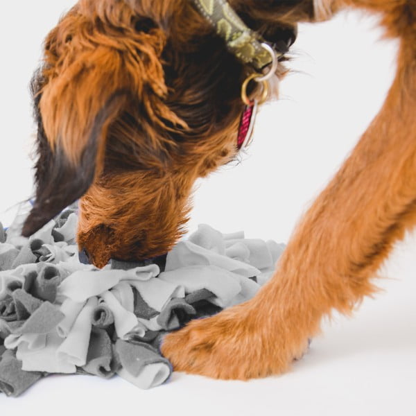 Annusare la coperta - Love Story-image-1