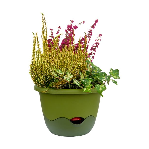 Vaso verde autoirrigante sospeso Mareta, lunghezza 25 cm - Plastia-image-2