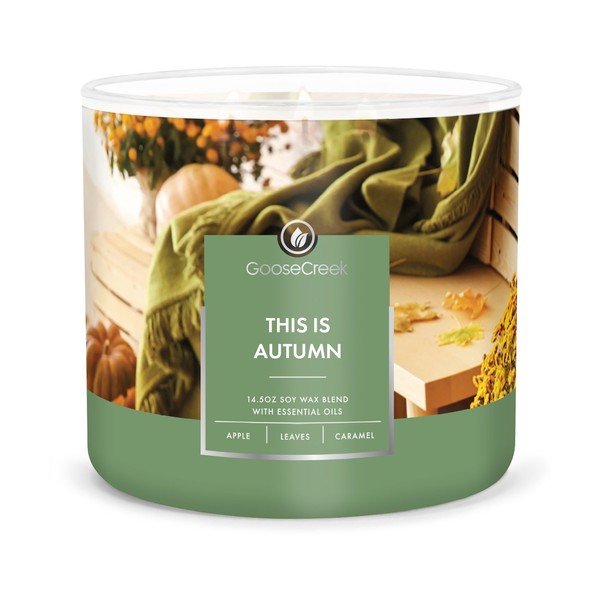 Candela di soia profumata tempo di combustione 35 h This Is Autumn - Goose Creek