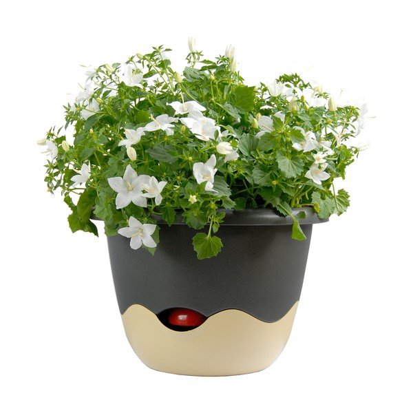 Vaso sospeso autoinnaffiante blu e bianco Mareta, lunghezza 30 cm - Plastia-image-3