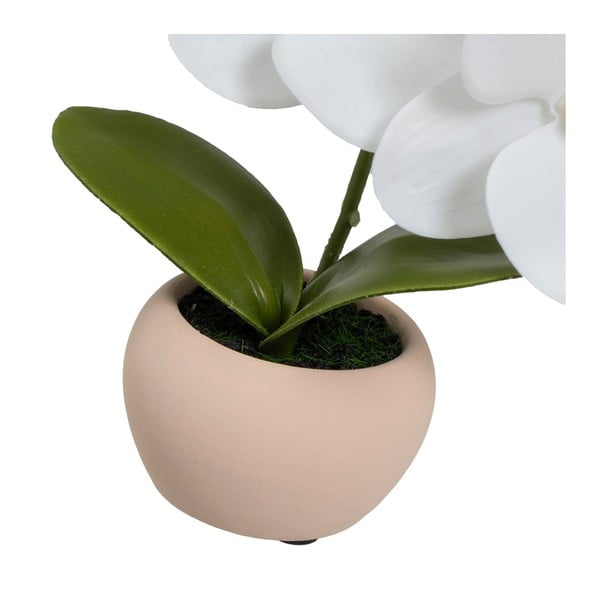 Piante artificiali in set da 3 (altezza 15 cm) Orchid - Casa Selección-image-4