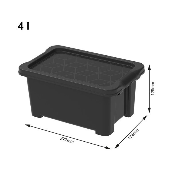 Scatola di plastica con coperchio Evo Easy - Rotho-image-1