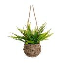Felce artificiale (altezza 25 cm) - Casa Selección